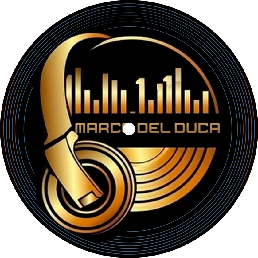 Vinile logo